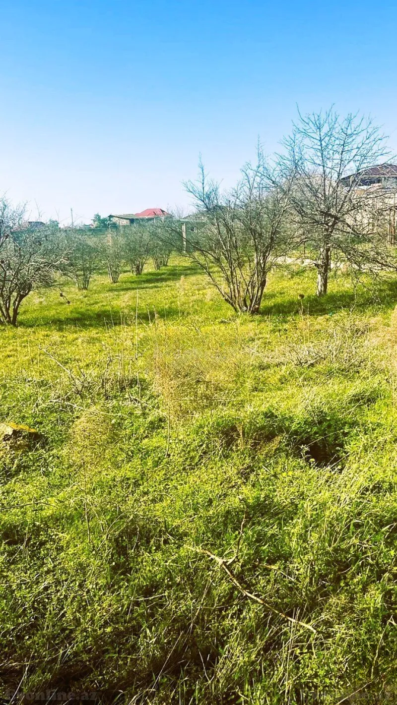 Torpaq Novxanı Satılır