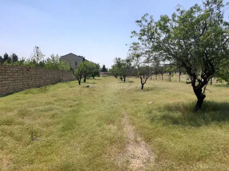 Satılır Torpaq 16.5 sot Saray - şəkil 2