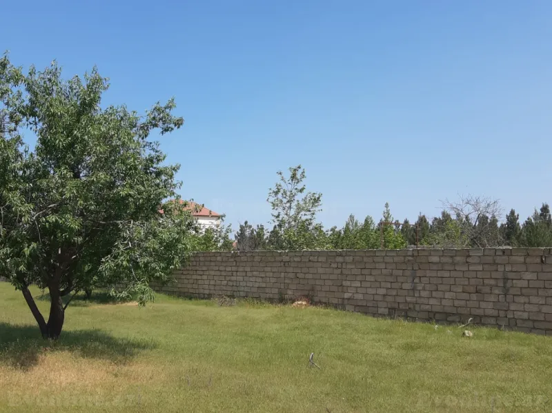 Satılır Torpaq 16.5 sot Saray - şəkil 5