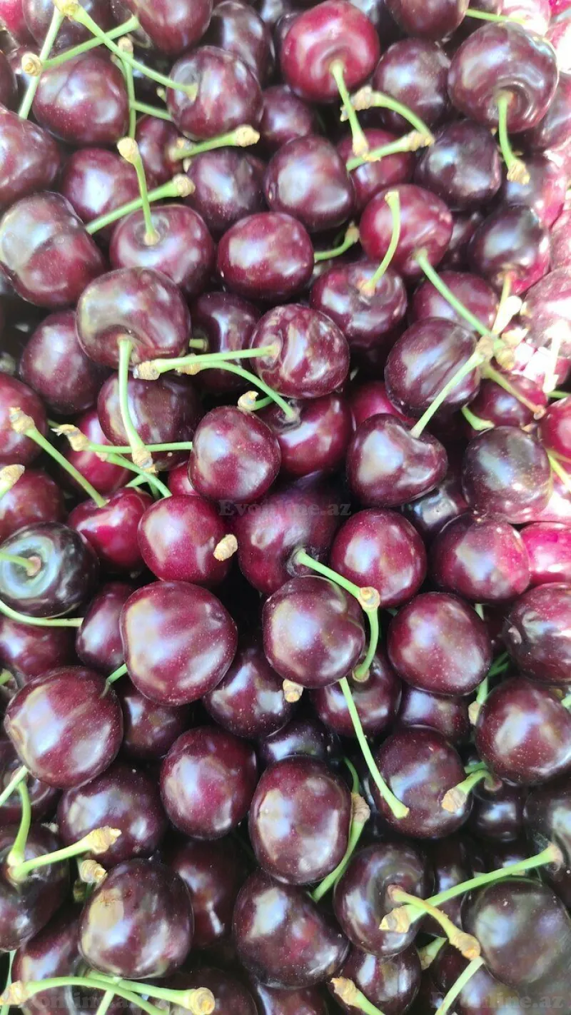 Satılır Torpaq 80 sot Quba - şəkil 6