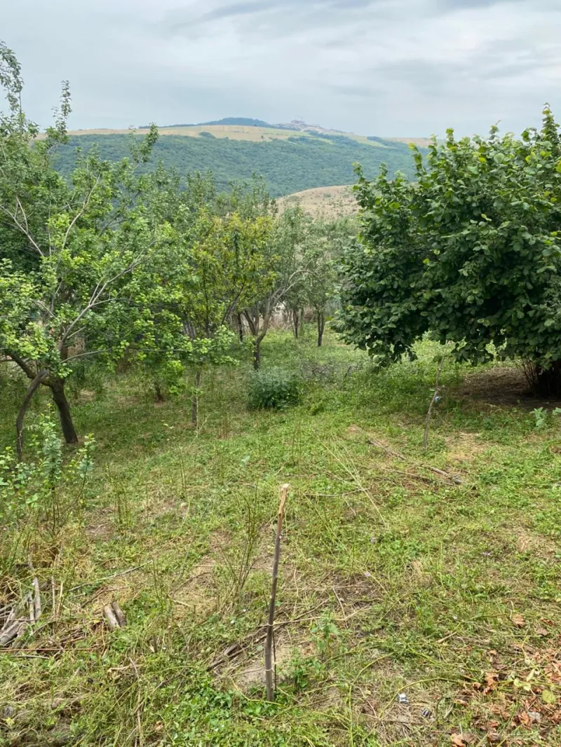 Satılır 3 otaqlı Həyət evi 80 m² Şamaxı - şəkil 4