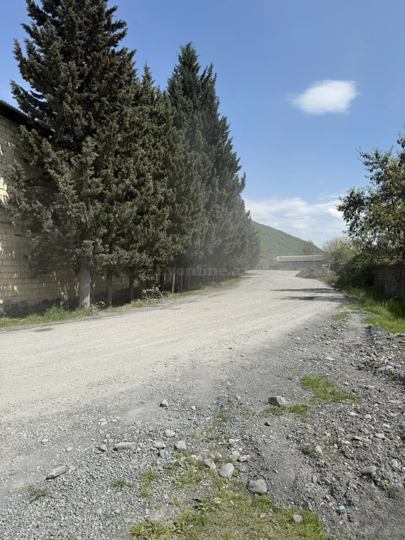 Satılır Obyekt 420 m² Zaqatala - şəkil 5