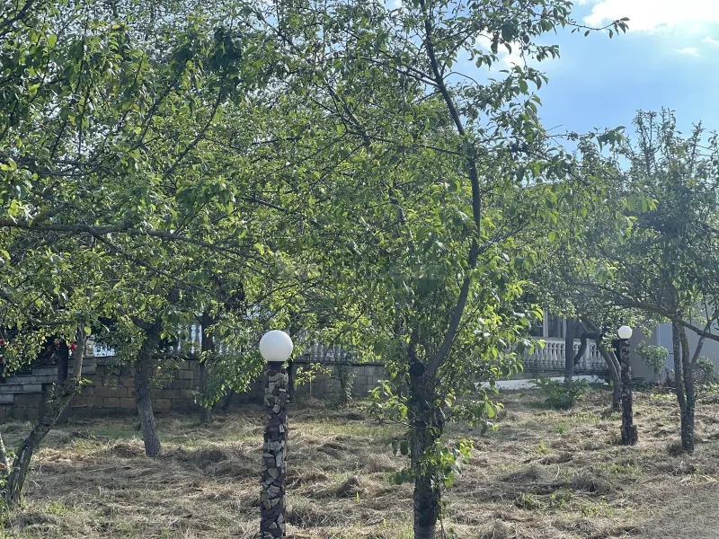 Satılır 7 otaqlı Həyət evi 210 m² Şamaxı - şəkil 3