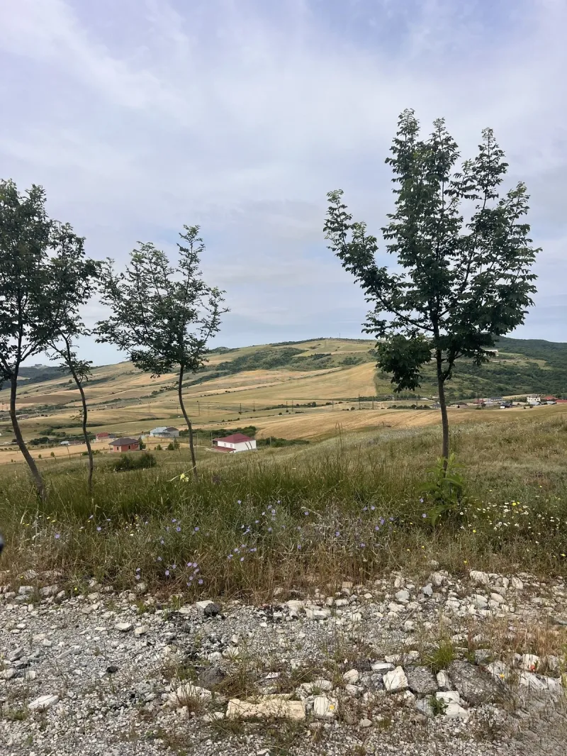Satılır 7 otaqlı Həyət evi 210 m² Şamaxı - şəkil 27