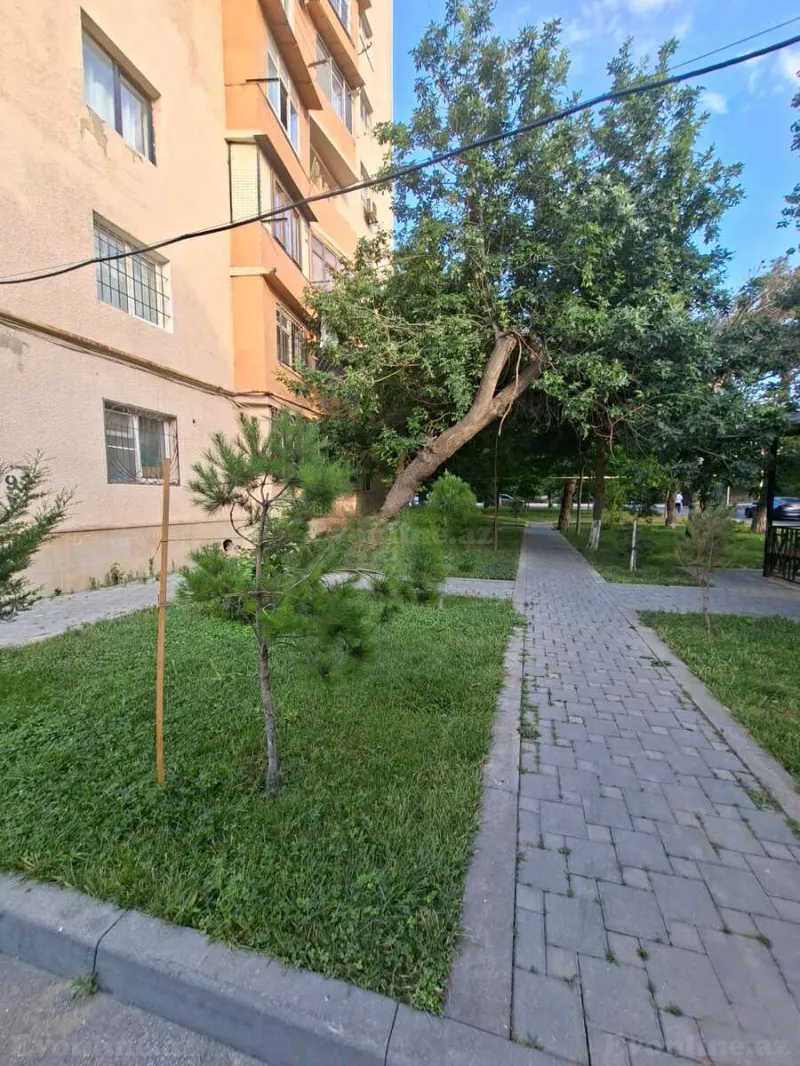 Satılır 2 otaqlı Mənzil Köhnə tikili 55 m² Neftçilər m. - şəkil 7