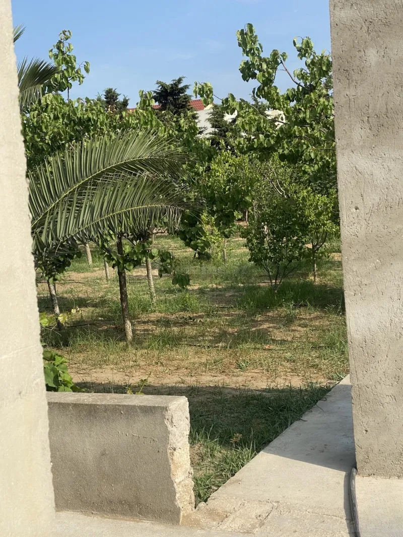 Satılır Torpaq 5 sot Şüvəlan - şəkil 3