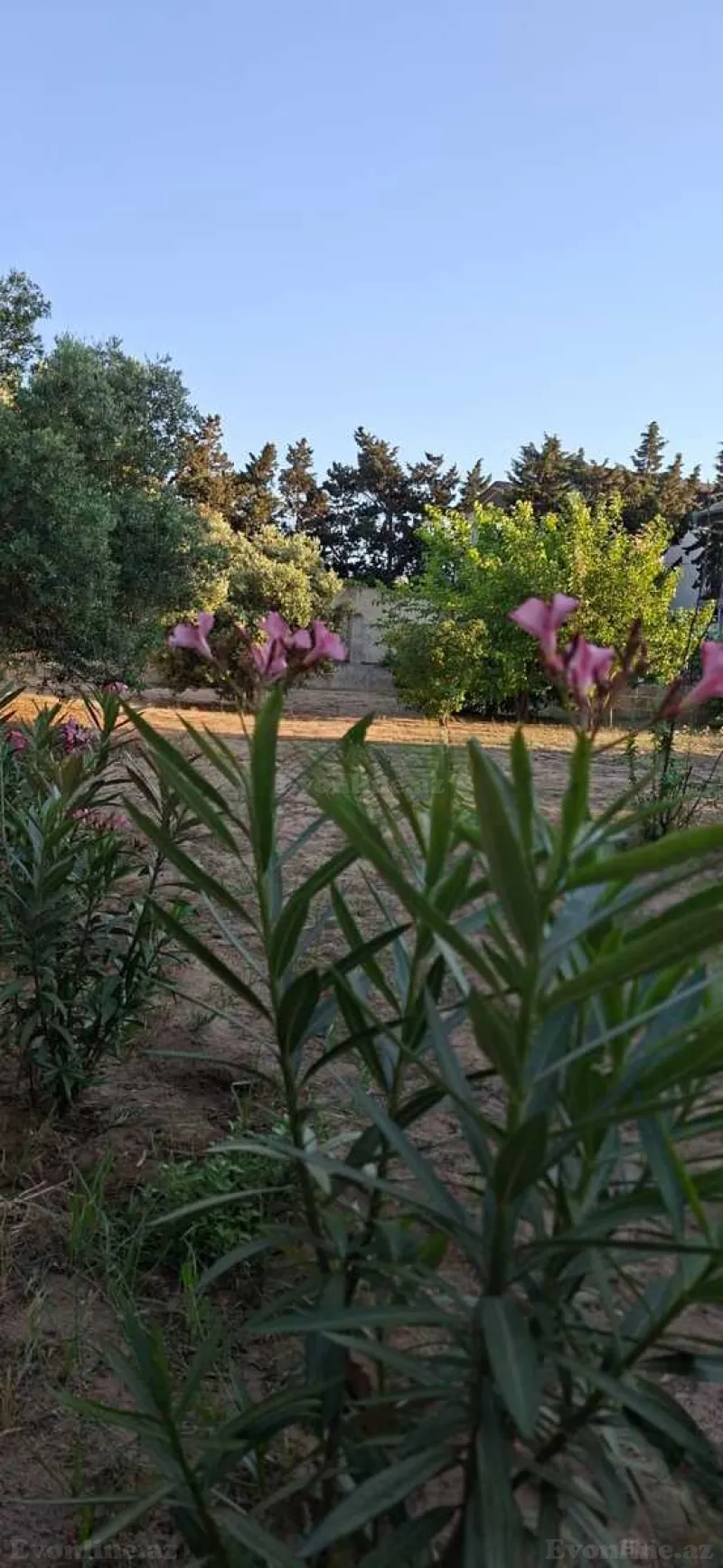 Kirayə verilir 5 otaqlı Həyət evi 200 m² Nardaran - şəkil 30