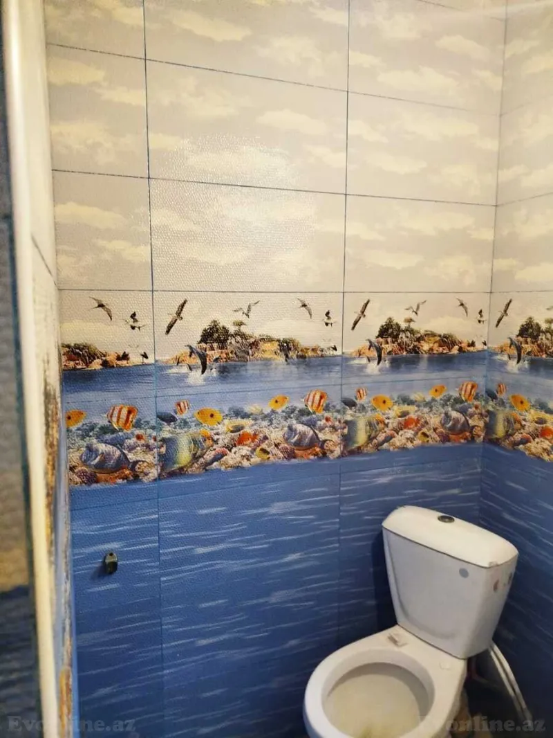 Satılır 5 otaqlı Həyət evi 120 m² Əhmədli - şəkil 13