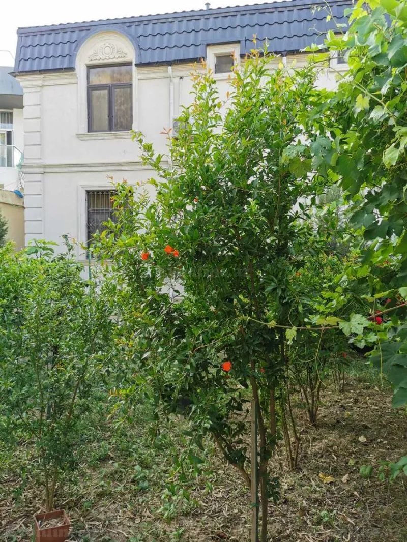 Kirayə verilir 5 otaqlı Həyət evi 280 m² Xəzər r. - şəkil 7