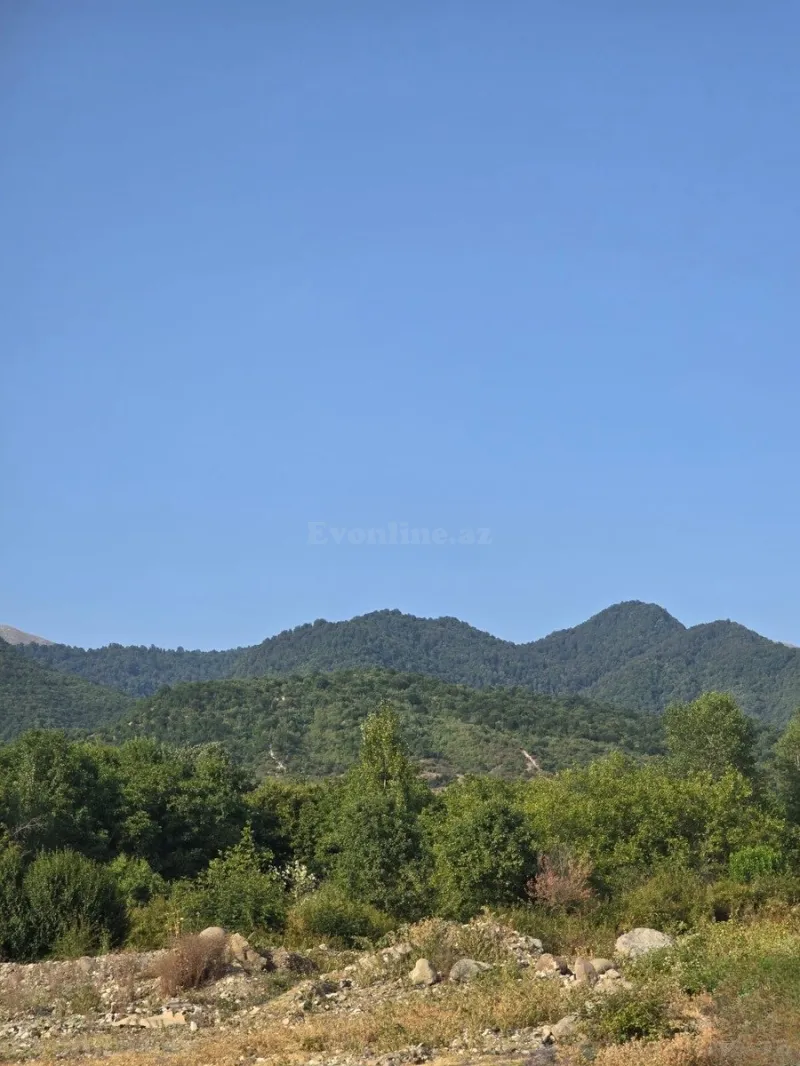 Satılır Torpaq 4 sot İsmayıllı - şəkil 2