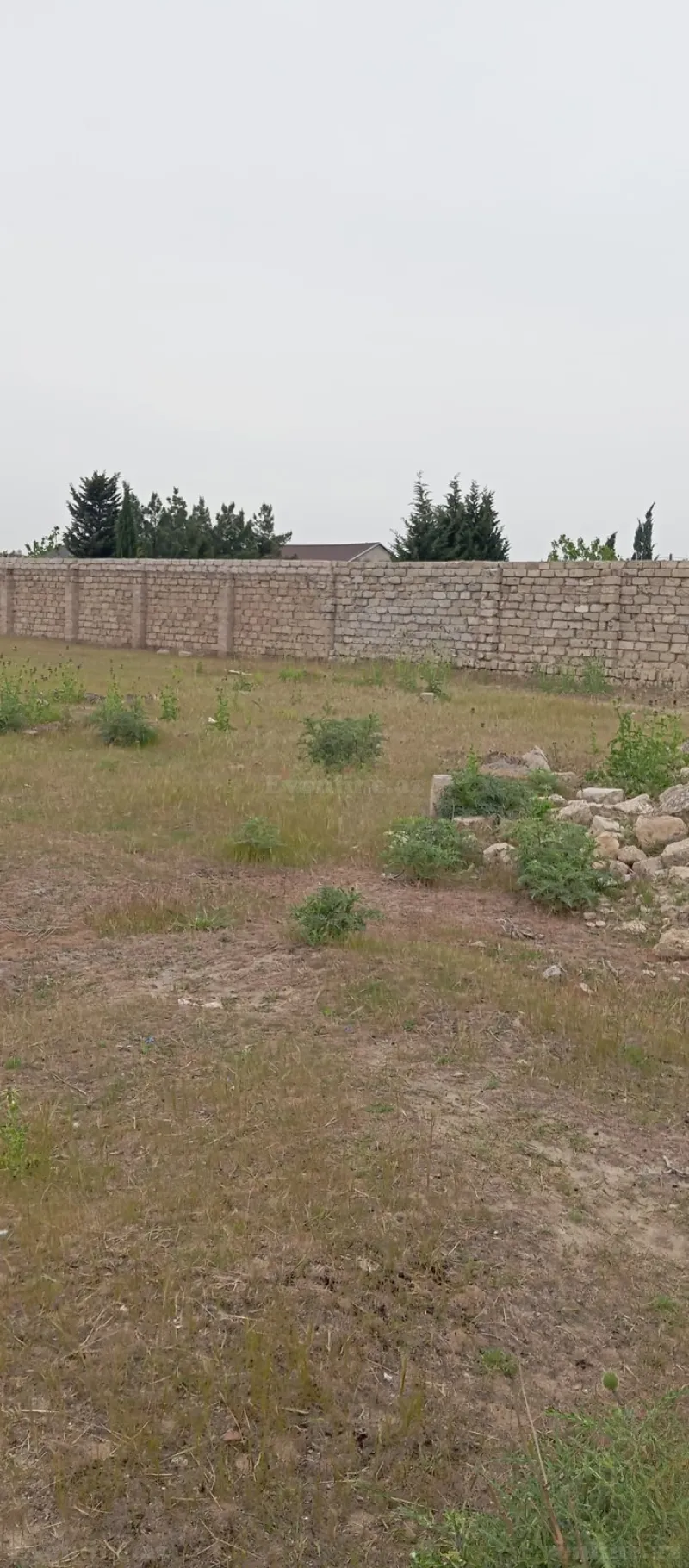 Satılır Torpaq 6.5 sot Albalılıq