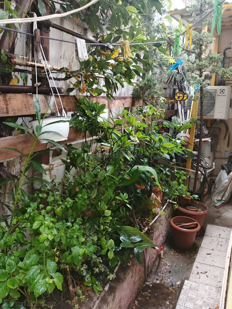 Satılır 4 otaqlı Həyət evi 96 m² Montin - şəkil 13
