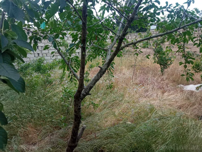 Satılır 3 otaqlı Həyət evi 120 m² Buzovna - şəkil 3