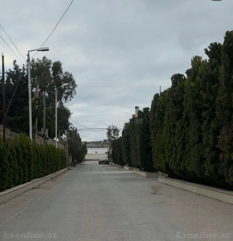 Torpaq Şüvəlan Satılır