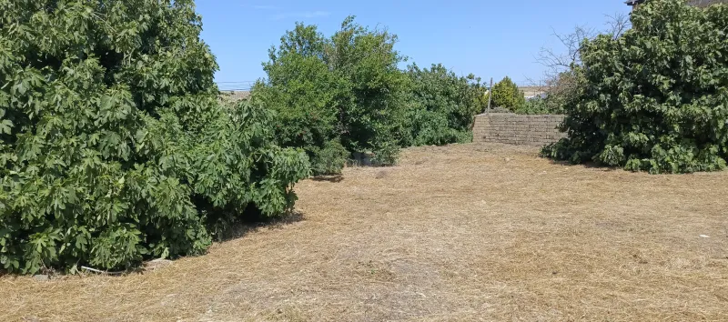Bakı, Abşeron r., Azadlıq prospekti m., Digahda torpaq satılır