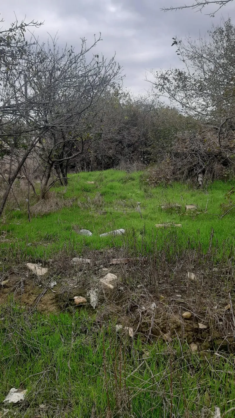 Satılır Torpaq 15 sot Digah - şəkil 5