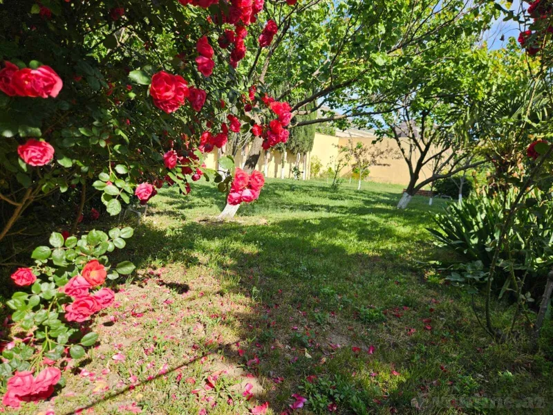 Satılır 5 otaqlı Həyət evi 168 m² Binə - şəkil 16