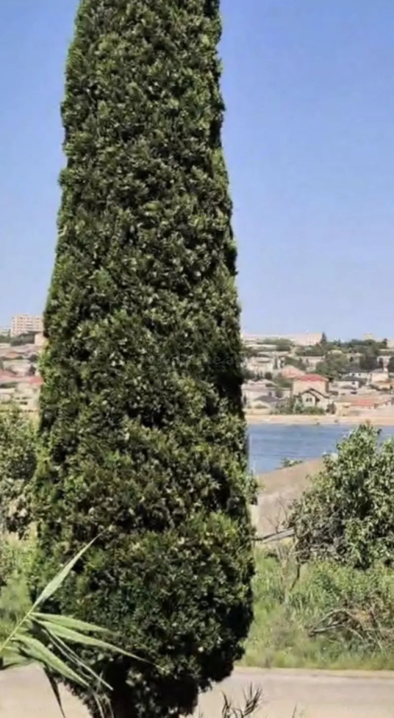 Torpaq Bakıxanov Satılır