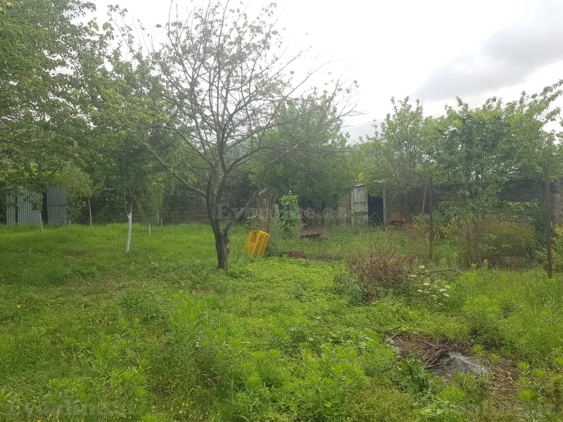 Satılır Torpaq 6 sot İsmayıllı