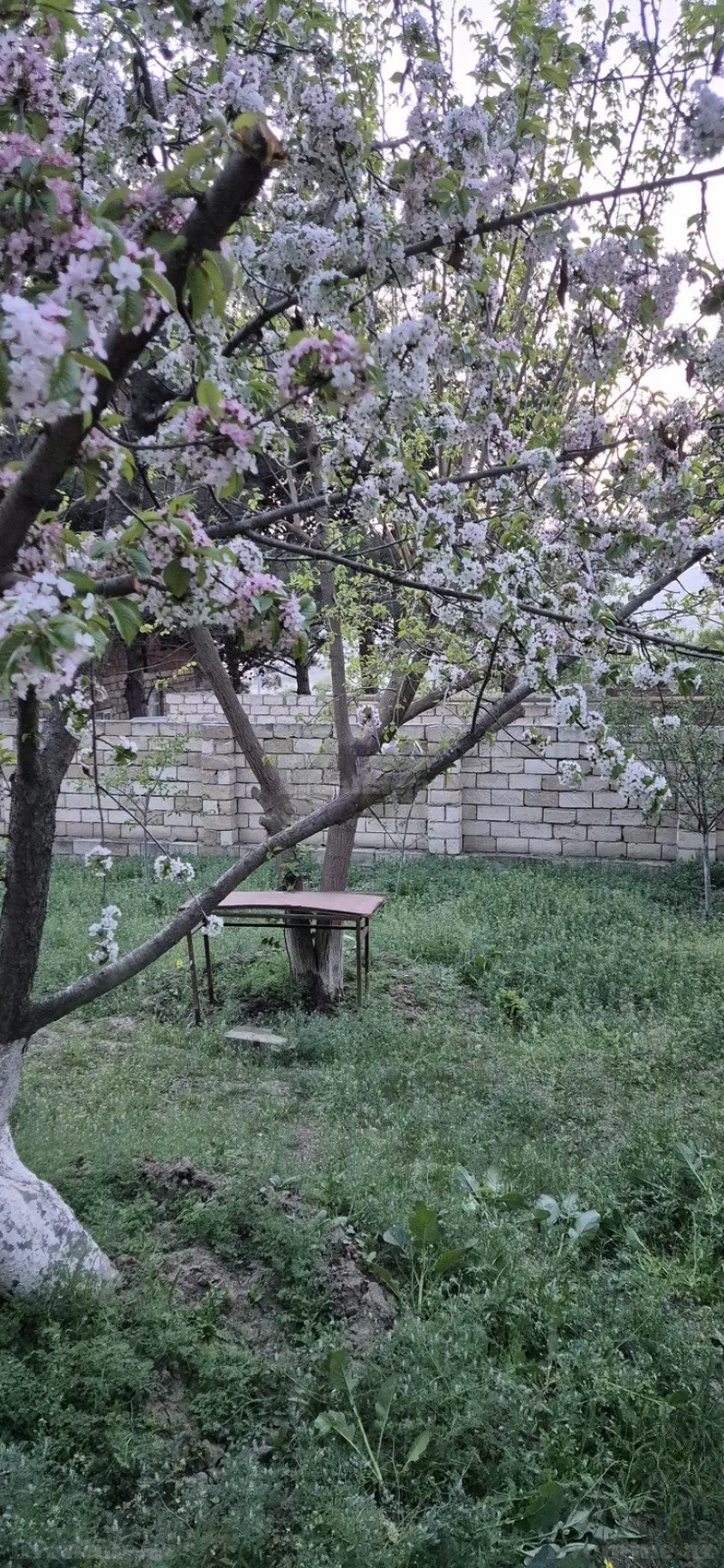 Satılır Torpaq 3 sot Avtovağzal m. - şəkil 4