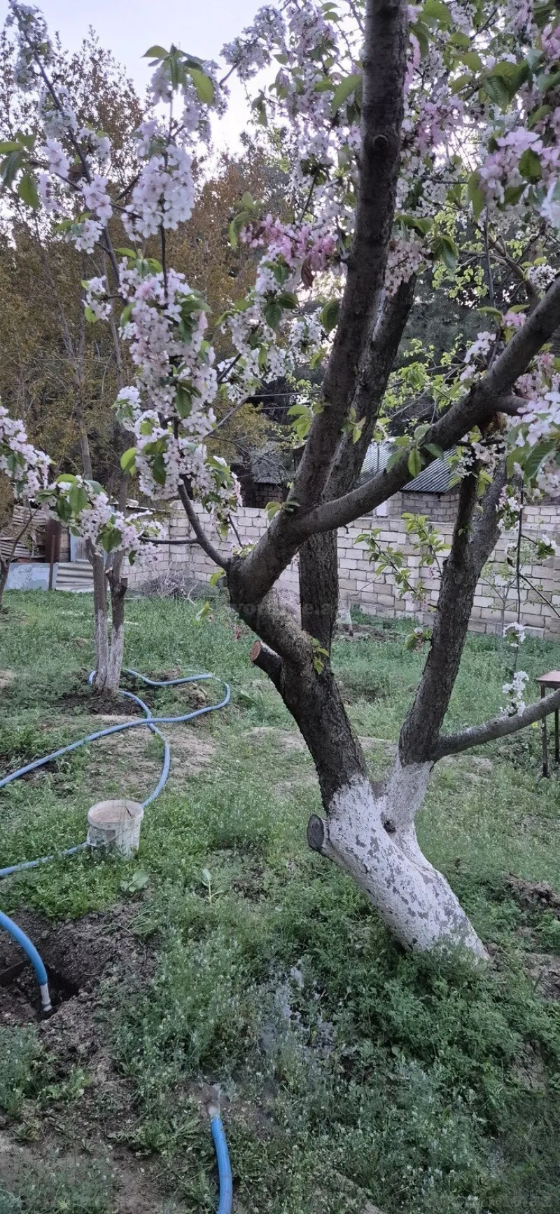Satılır Torpaq 3 sot Avtovağzal m. - şəkil 5
