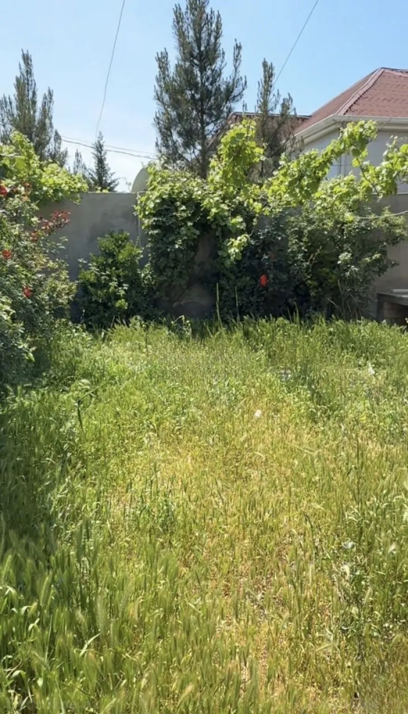 2 otaqlı Həyət evi 78 m² Novxanı Satılır