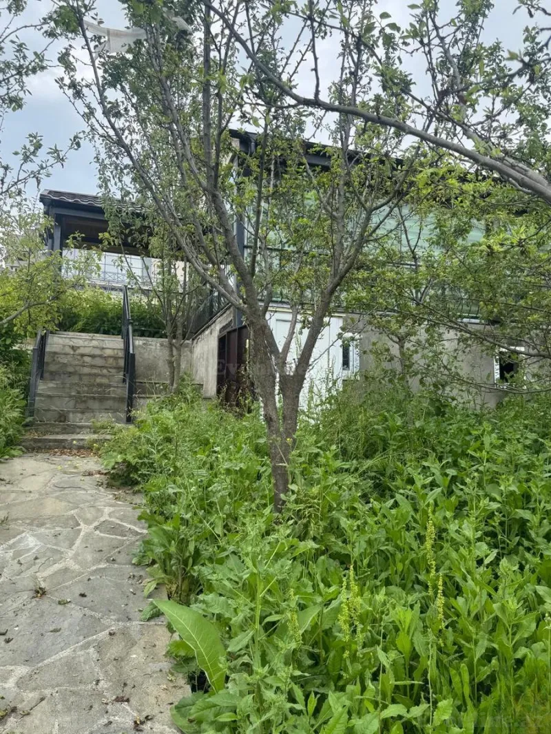Satılır Torpaq 12 sot Şamaxı - şəkil 3
