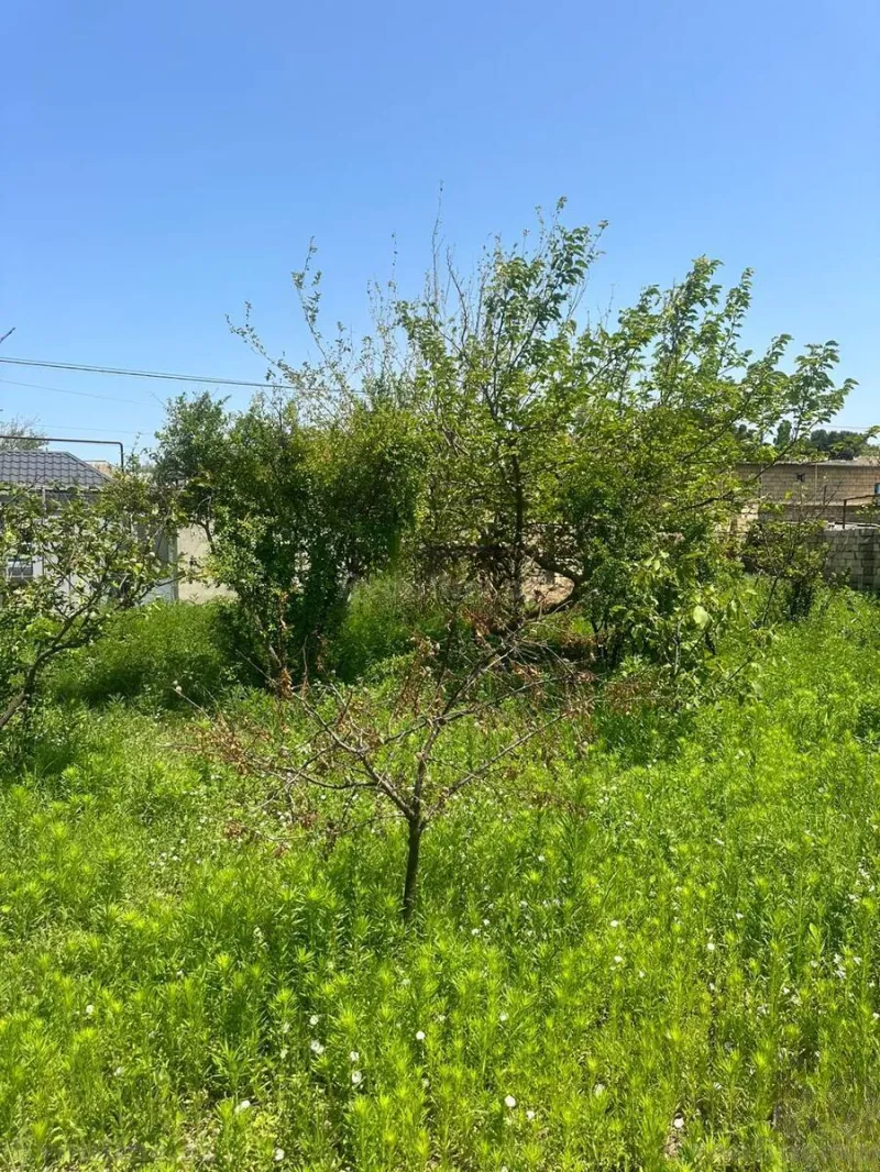 Satılır Torpaq 2 sot Novxanı - şəkil 5