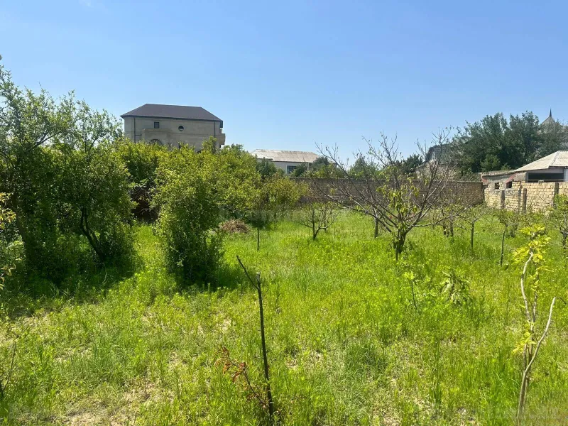 Torpaq Novxanı Satılır