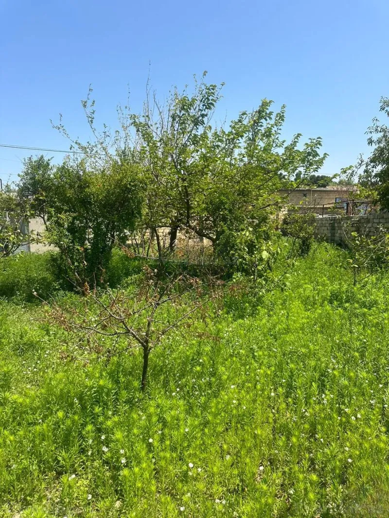 Satılır Torpaq 3 sot Novxanı - şəkil 3
