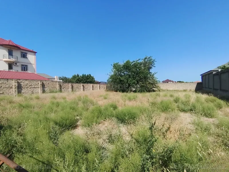 Torpaq Fatmayı Satılır