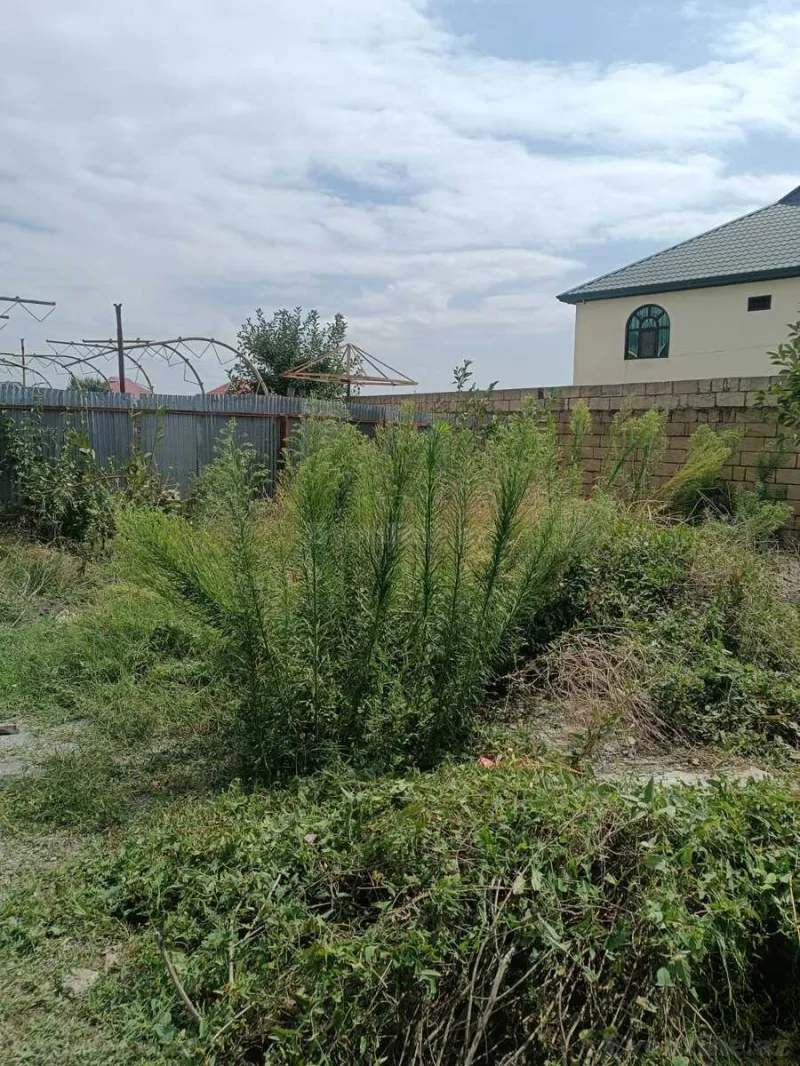Satılır 3 otaqlı Həyət evi 50 m² Qəbələ - şəkil 2