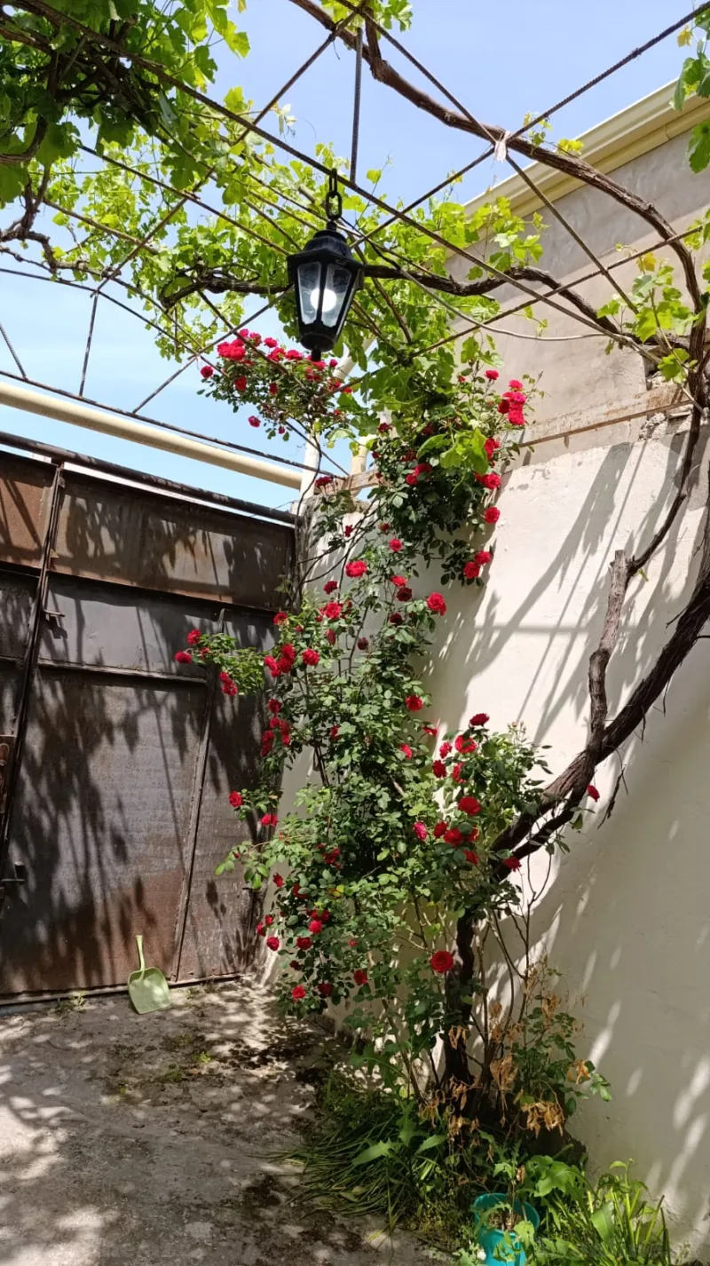 Satılır 6 otaqlı Həyət evi 190 m² Əmircan - şəkil 10