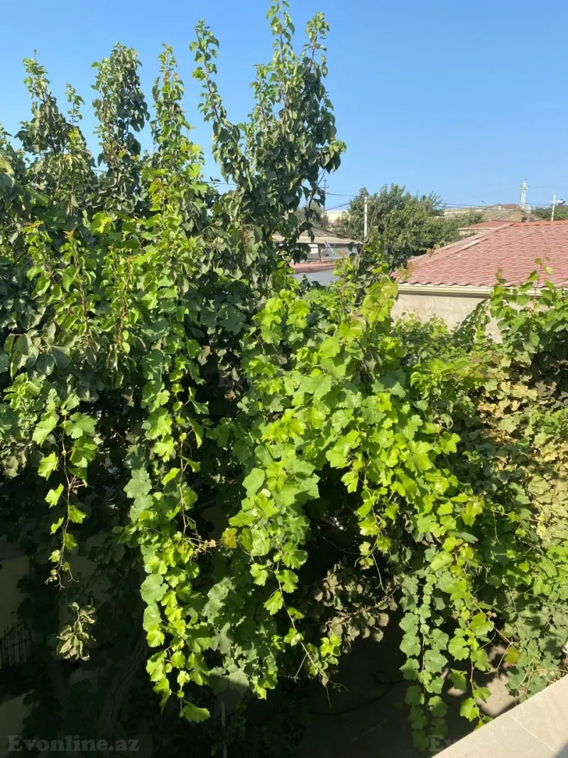 Satılır 6 otaqlı Həyət evi 190 m² Əmircan - şəkil 15