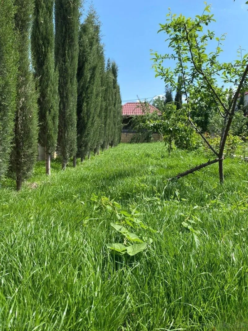 Satılır 7 otaqlı Həyət evi 420 m² Quba - şəkil 5
