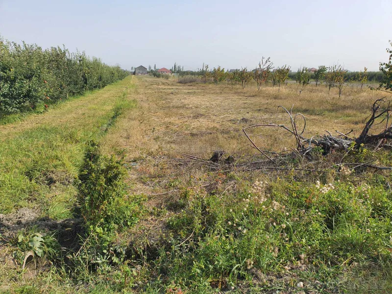 Satılır Torpaq 47 sot Quba - şəkil 2