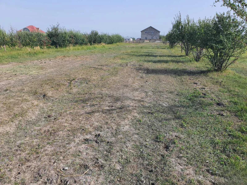 Satılır Torpaq 47 sot Quba - şəkil 3