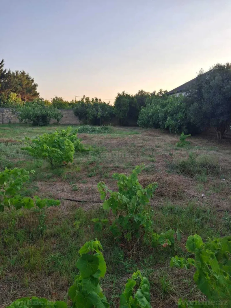 Satılır Torpaq 6 sot Nardaran