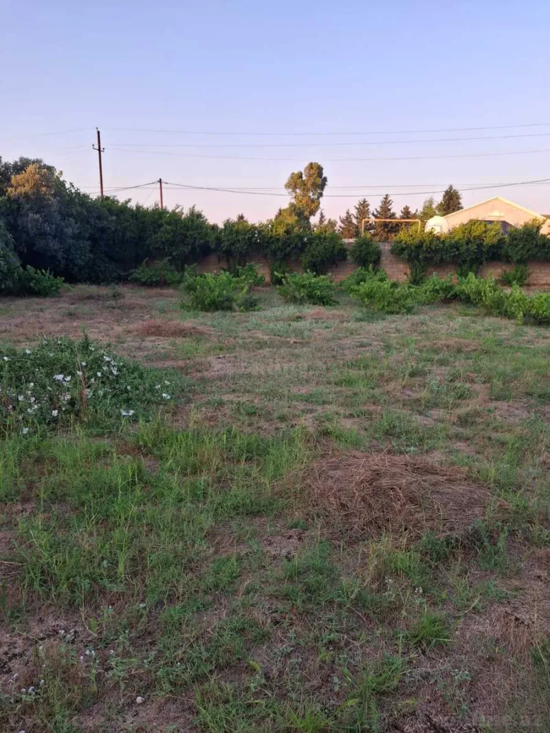 Satılır Torpaq 6 sot Nardaran - şəkil 4
