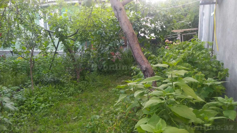 Kirayə verilir 2 otaqlı Həyət evi 50 m² Qax - şəkil 2