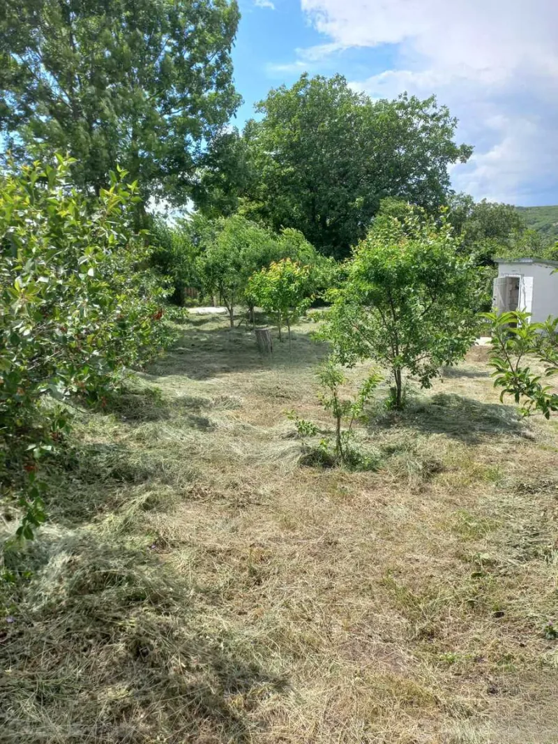 Satılır 5 otaqlı Həyət evi 13 m² Şamaxı - şəkil 11