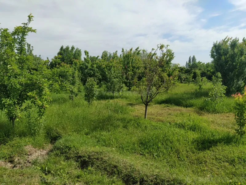 Satılır Torpaq 40 sot Tərtər - şəkil 25