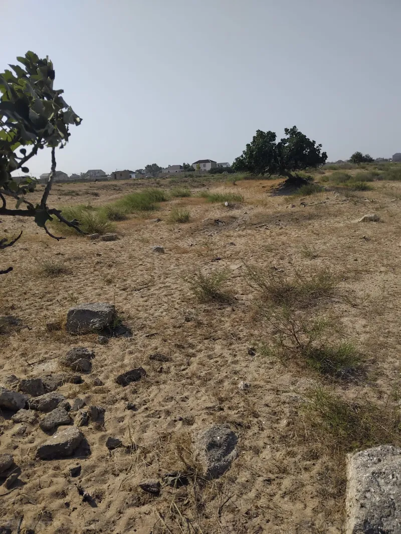 Satılır Torpaq 60 sot Türkan - şəkil 3