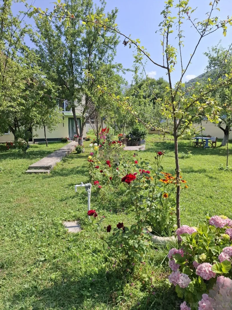 Kirayə verilir 3 otaqlı Həyət evi 150 m² Qəbələ - şəkil 2
