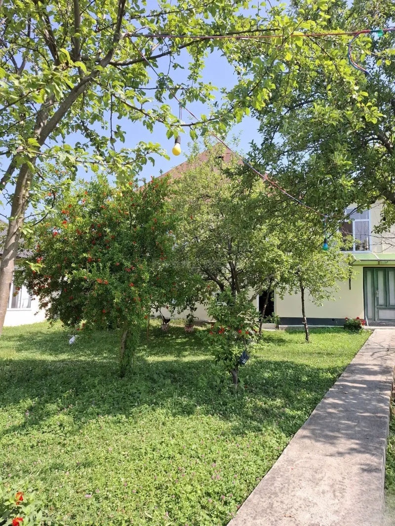 Kirayə verilir 3 otaqlı Həyət evi 150 m² Qəbələ - şəkil 3