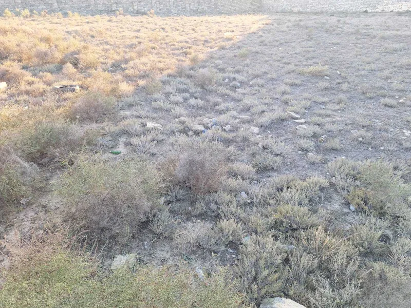 Satılır Torpaq 180 sot Masazır - şəkil 2