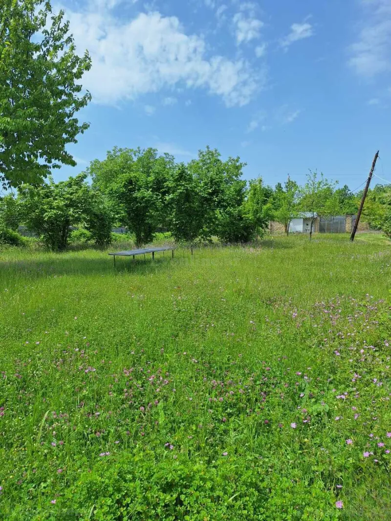 Satılır 4 otaqlı Həyət evi 120 m² Qəbələ - şəkil 2