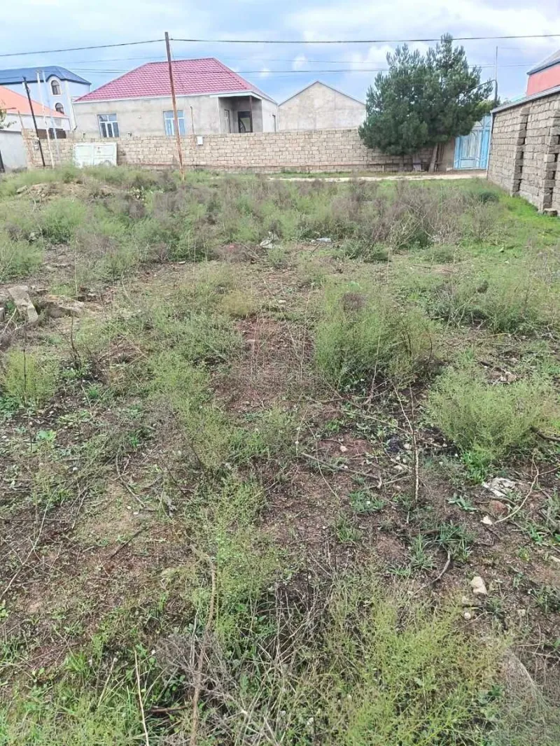 Torpaq Buzovna Satılır