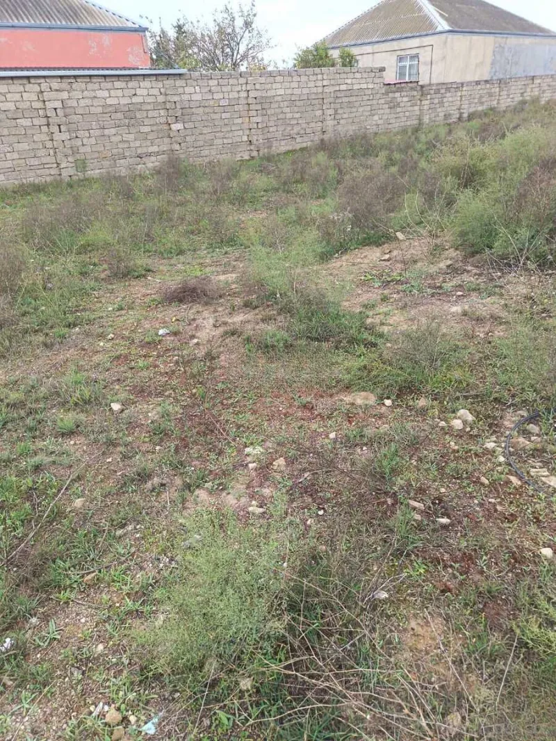 Satılır Torpaq 3 sot Buzovna - şəkil 10