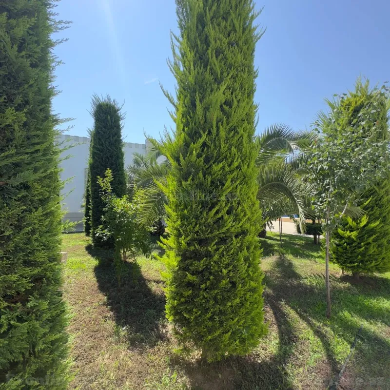 Satılır 6 otaqlı Həyət evi 300 m² Mərdəkan - şəkil 8